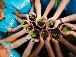organizations making a huge impact through philanthropy