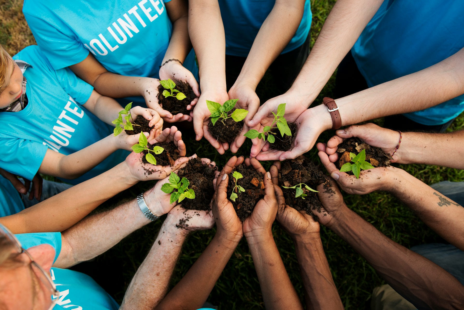 organizations making a huge impact through philanthropy